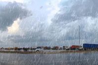 92021228823932162409