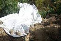 2022_10_12_18_50_30_585