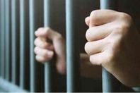 133-192508-revenge-ukrainian-betrayal_700x400