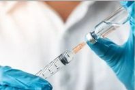 Screenshot 2024-10-12 063016