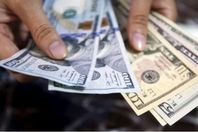 62-084406-dollar-price-today-egypt-sunday-october-20-2024_700x400