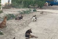 71231605969202508251119421942