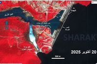 561641895_1023839651_567_111553