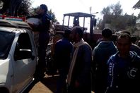 محصول البطاطس