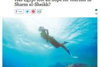 صورة الخبر الأصلي