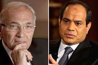 السيسي وشفيق