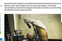 صورة الخبر الأصلي