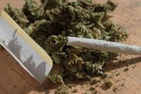 الحشيش ارشيفية