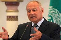 أحمد أبو الغيط