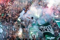 جماهير الرجاء
