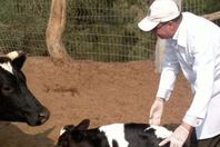 انطلاق الحملة القومية ضد الحمى «القلاعية» وحمى «الوادي المتصدع»