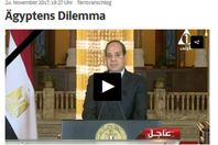 صورة الخبر الأصلي