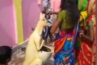 قرية هندية تقدس سلة مهملات