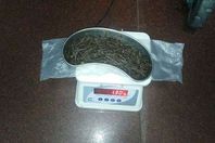 المسامير التى تم استخراجها