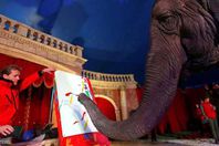 بيع لوحات بـخرطوم أنثى فيل