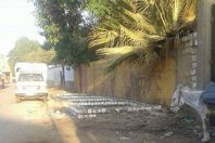 جمعية الفقاعى