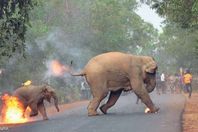 الصورة التى تم التقاطها