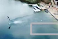 الرجل الحديدى