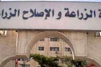 وزارة الزراعة