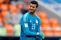 محمد الشناوي