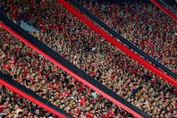 جمهور الأهلي