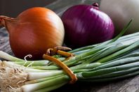 انواع البصل