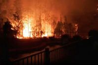 حرائق استراليا