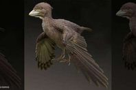 طائر عمره 120 مليون عام

