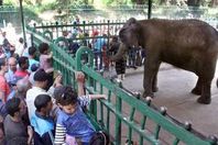 حديقة الحيوان