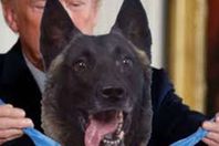 الكلب كونان في البيت الابيض