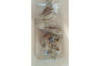 دنانير من العصر العباسي