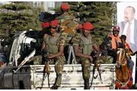 353321قوات إقليم تيجراي