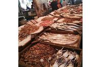 fa84ebc9-7903-4468-9fb7-8a7d81555cb2_sm