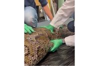 2022_11_12_13_53_12_216