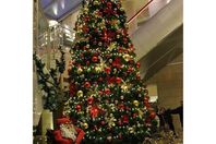 شجرة عيد الميلاد