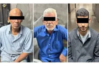 811122173821220251123010445445