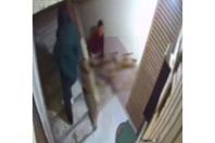 1000820361_773_113150