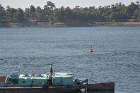 أعمال التكريك والتطهير بنهر النيل