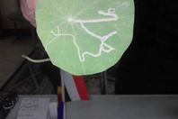 الورقة المكتوب عليها