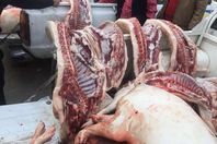 لحوم خنازير