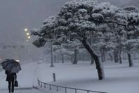 عاصفة ثلجية