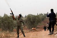 غصن الزيتون