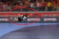 حارس المانيا