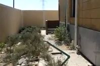 وحدة العرب الصحية