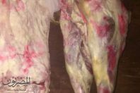 صور اللحوم الفاسدة