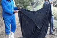 بطاطين داخل مطابق الصرف الصحى