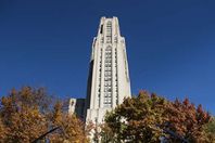 جامعة امريكية