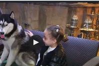 مقهي "بت كونرز"