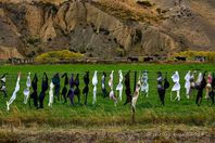 حمالات الصدر