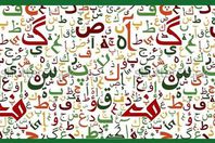 اللغة العربية